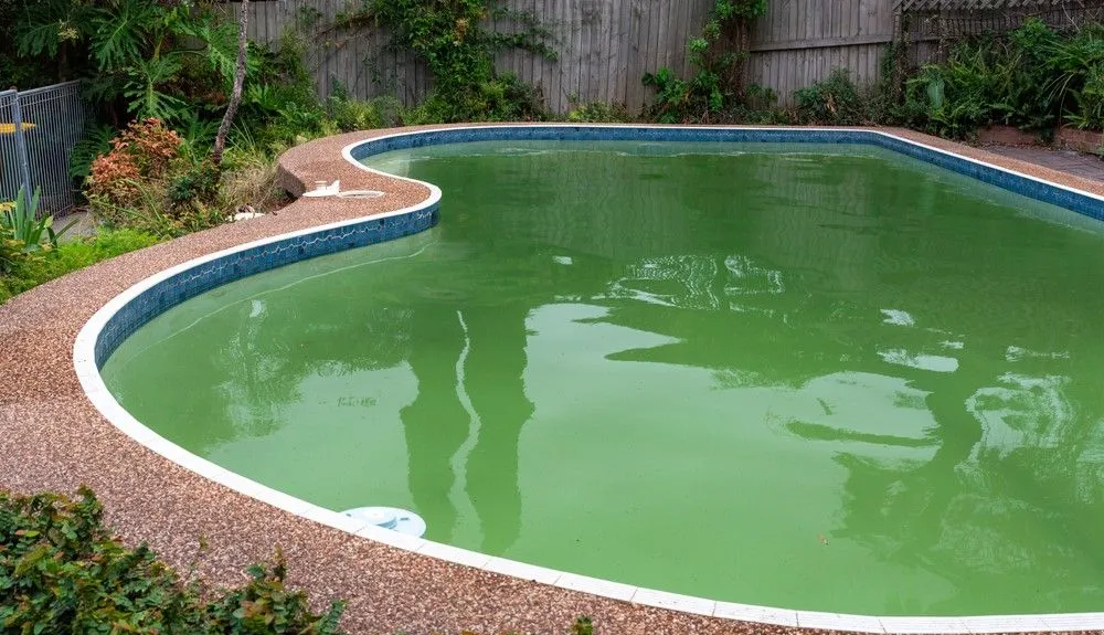 How to Identify the Cause of Cloudy Pool Water​
